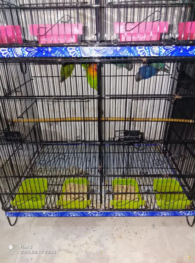 Brand new cage ha 2 week bhe Nahi use hoa folding cage  try bhe new ha — photo 3