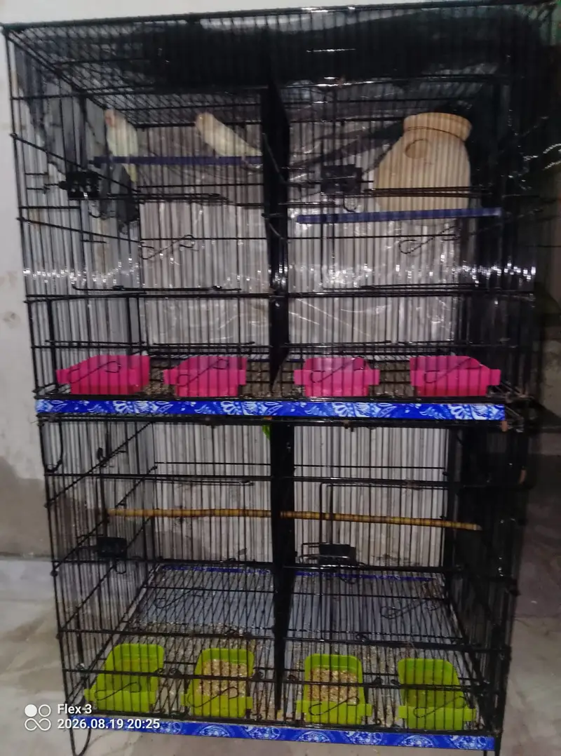 Brand new cage ha 2 week bhe Nahi use hoa folding cage  try bhe new ha — photo 4