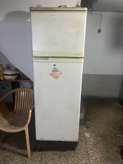 glod star freezer