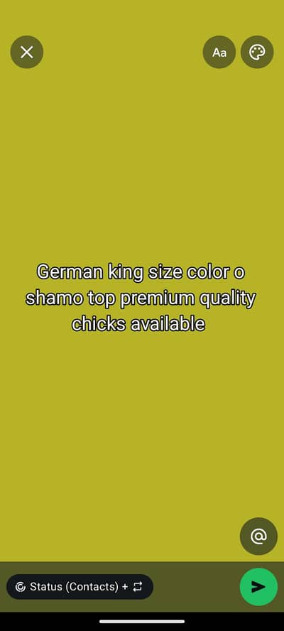 king size o shamo chicks