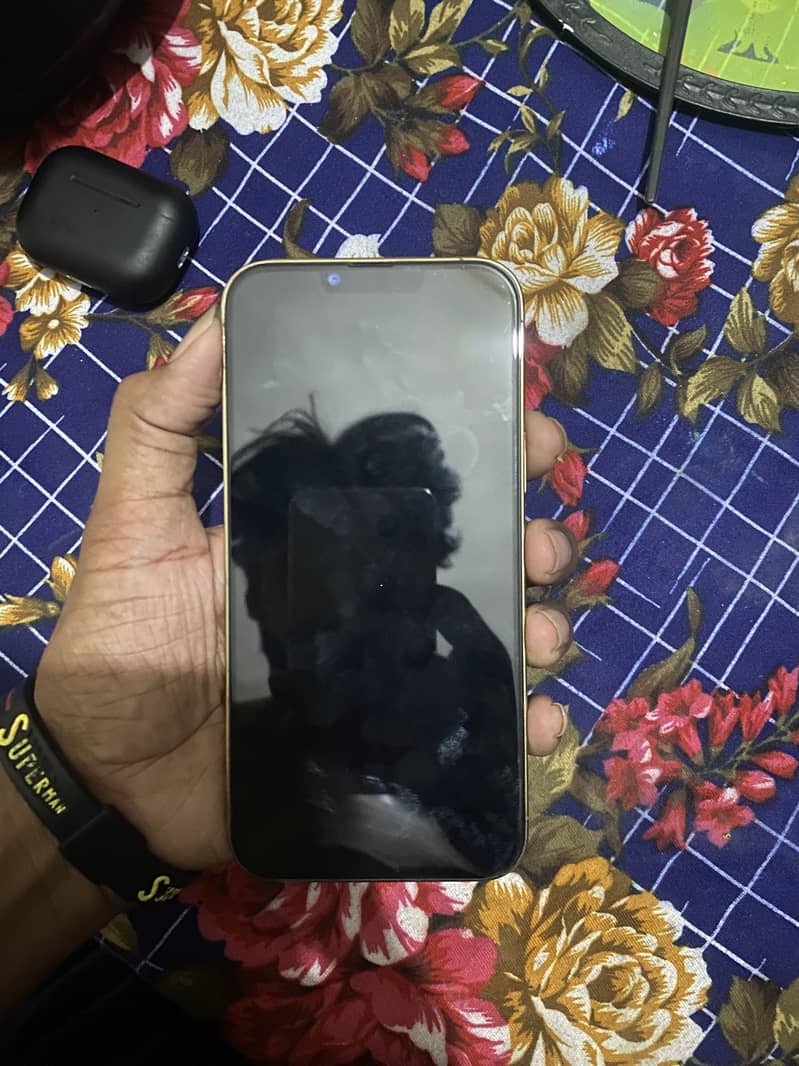 Apple iPhone 13 Pro Max 1