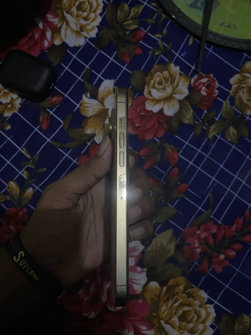 Apple iPhone 13 Pro Max 2