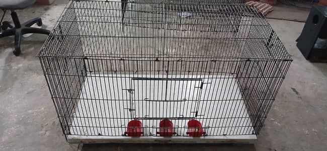 bird cages for sale