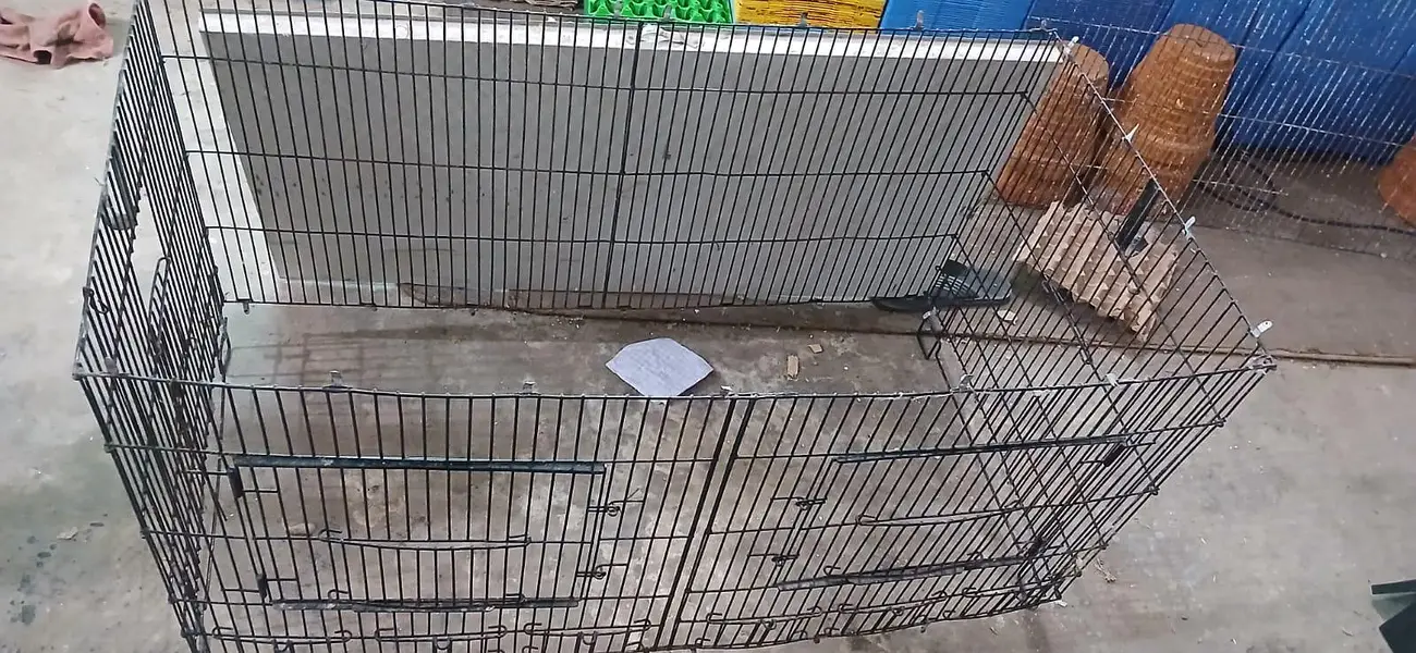bird cages for sale — photo 2