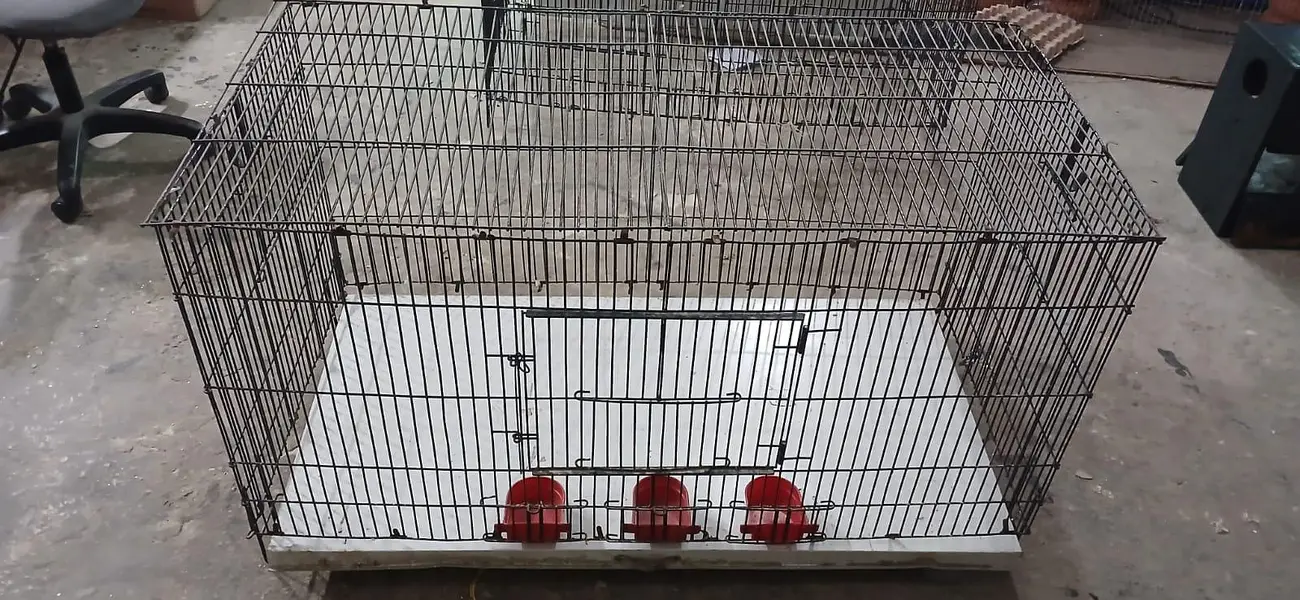 bird cages for sale — photo 3