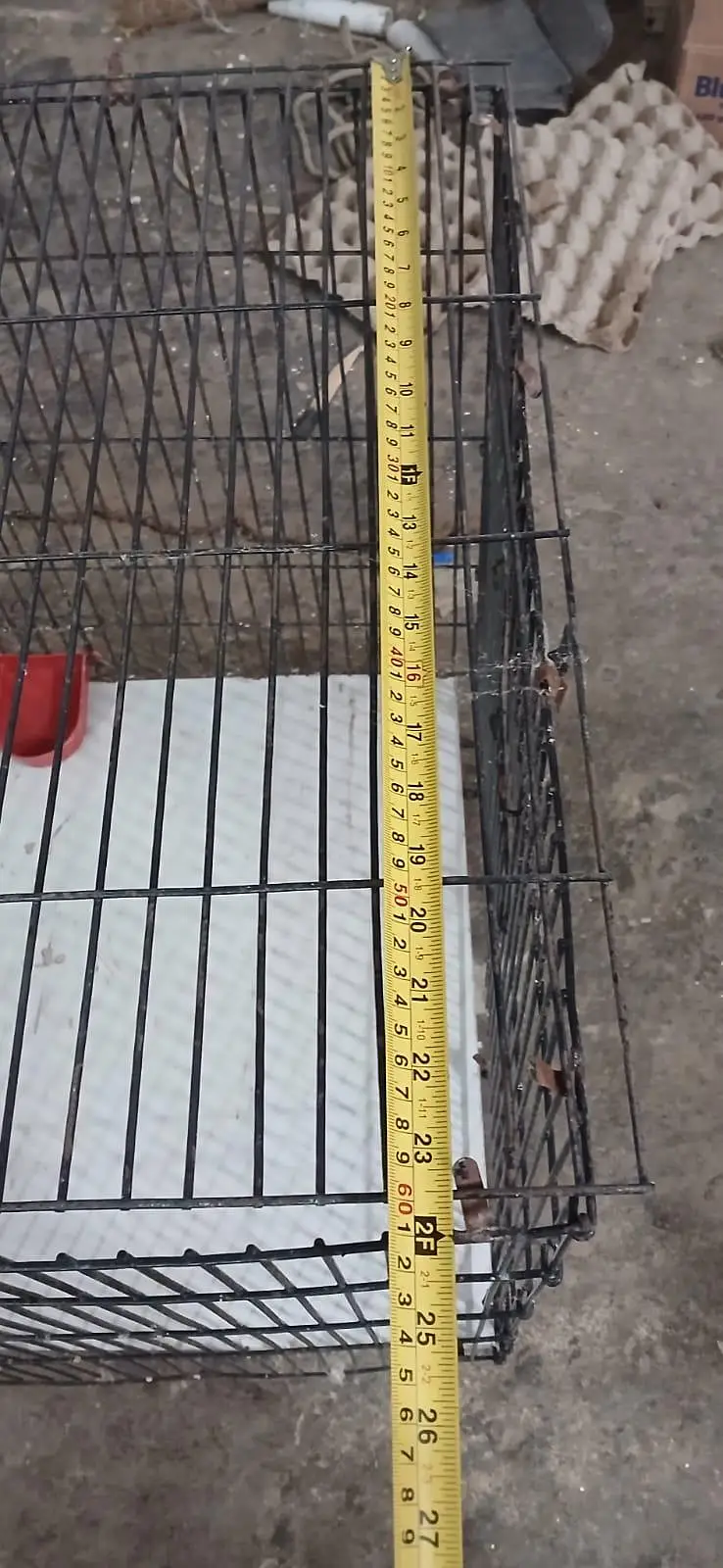 bird cages for sale — photo 4