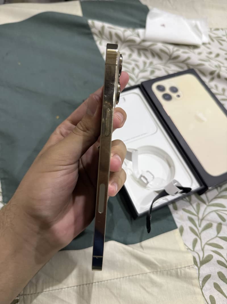 Apple iPhone 13 Pro Max 2