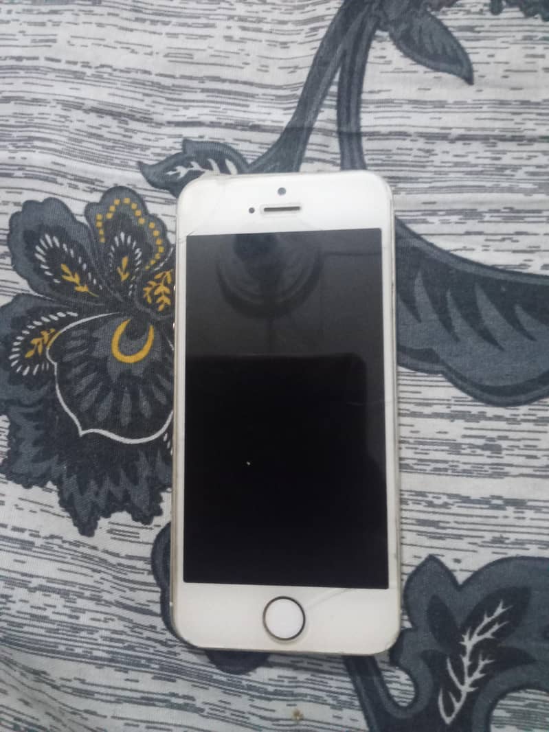 Apple iPhone 5s 1