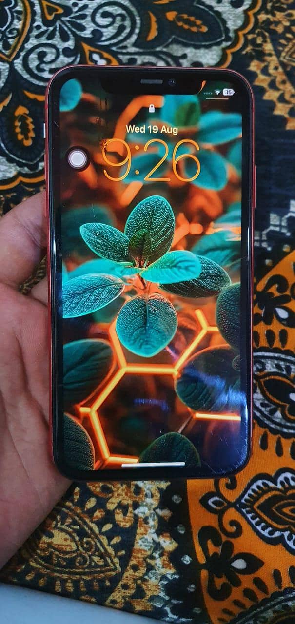 Apple iPhone 11 0