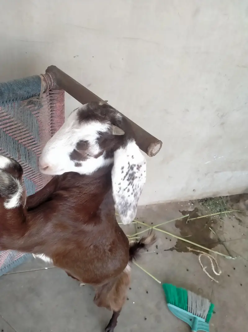 30000 KY hisab sy — photo 7