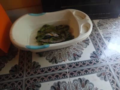 kids tub