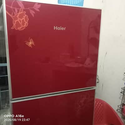 haier frig