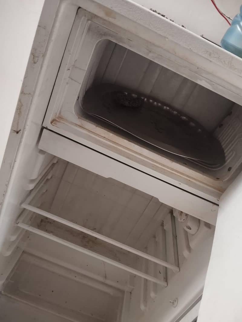 fridge 2