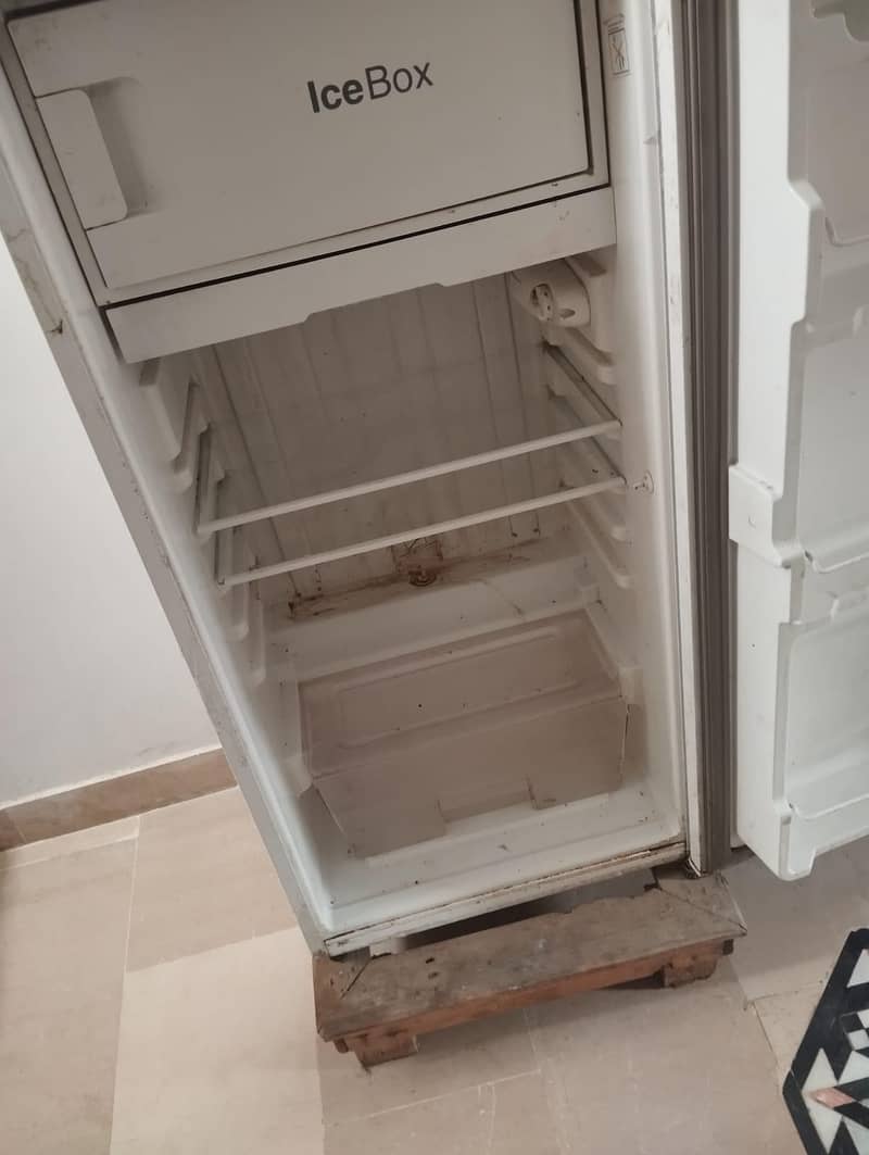 fridge 3