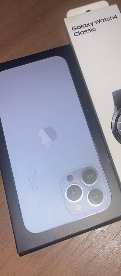 Apple iPhone 13 Pro Max