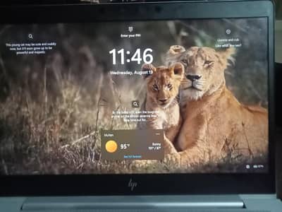 Hp Elite Book Ryzen 5 PRO