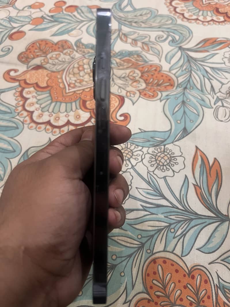 Apple iPhone 13 Pro Max 1