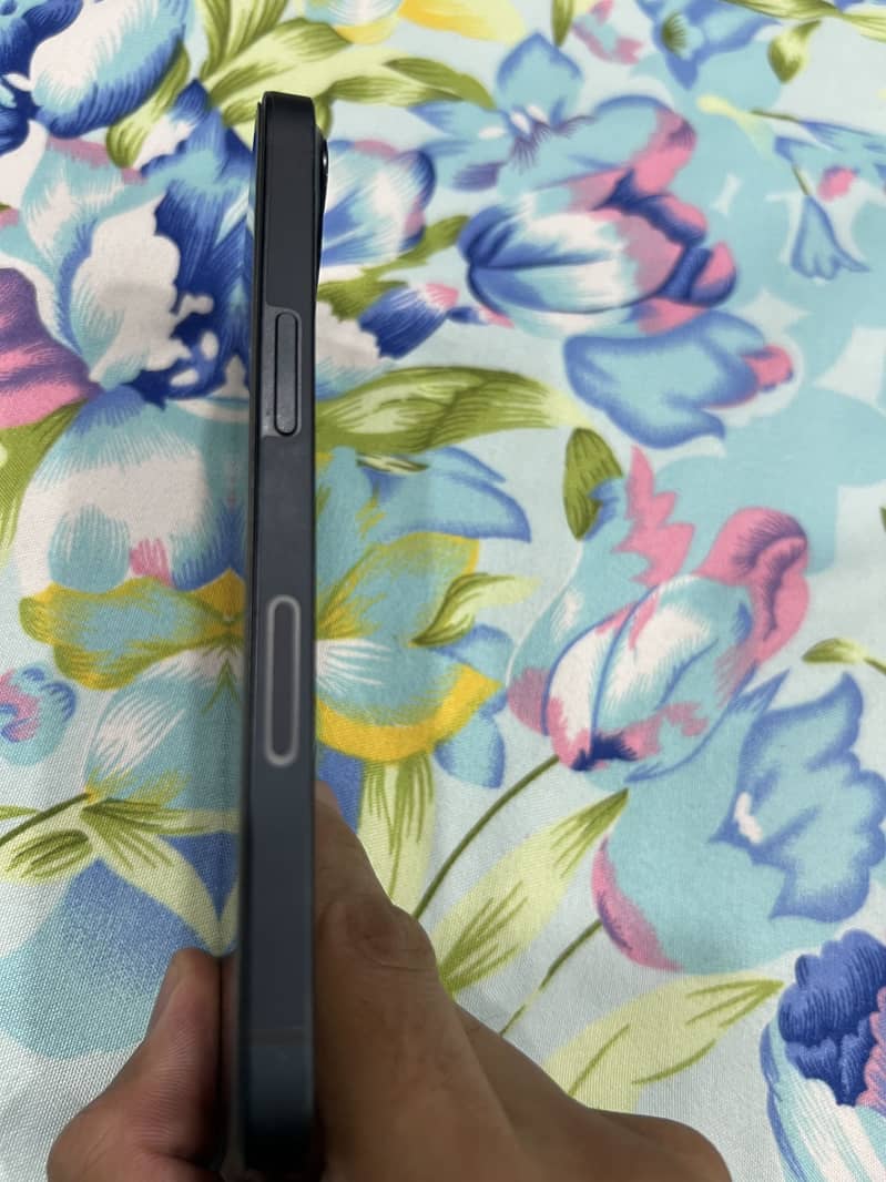 Apple iPhone 13 0