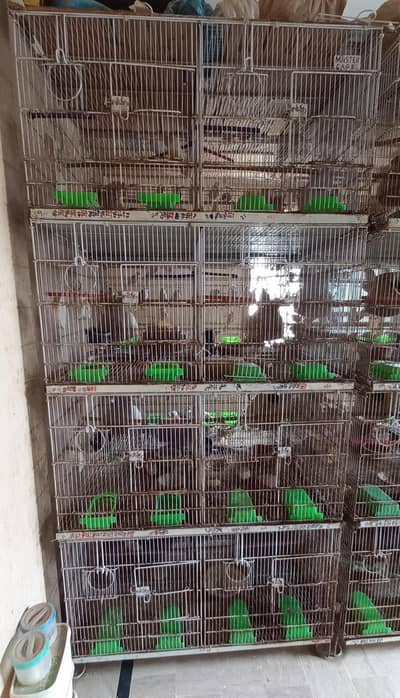 Used Foldong 8-Portion Cages Master brand