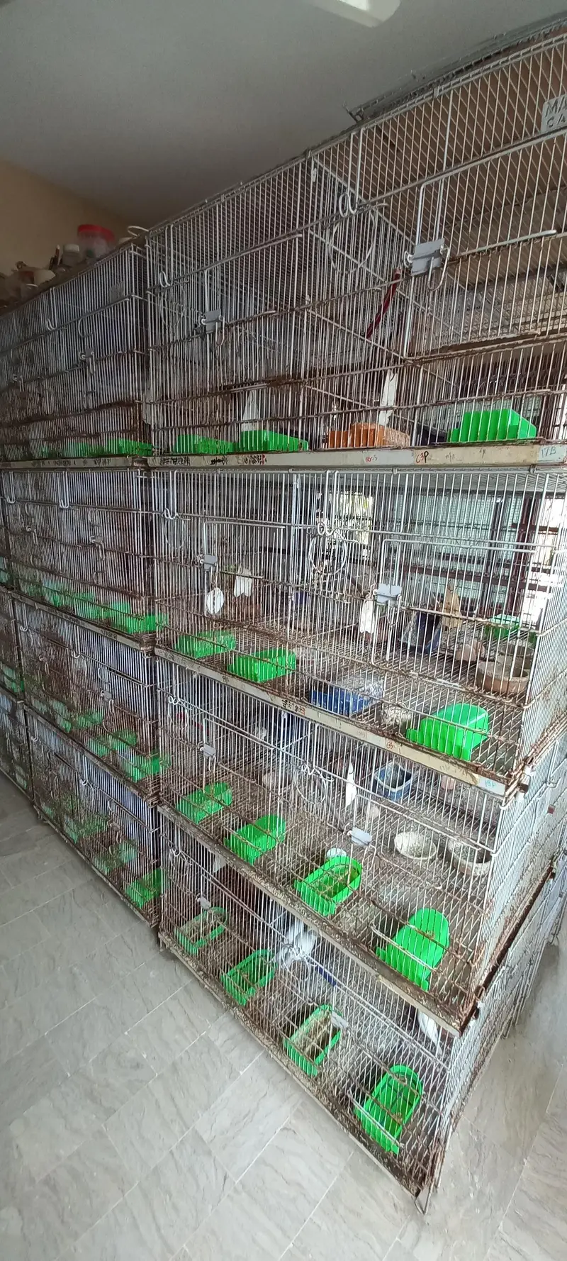Used Foldong 8-Portion Cages Master brand — photo 2