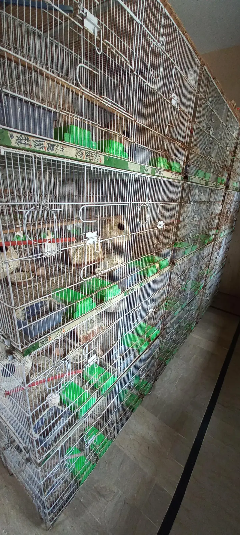 Used Foldong 8-Portion Cages Master brand — photo 4