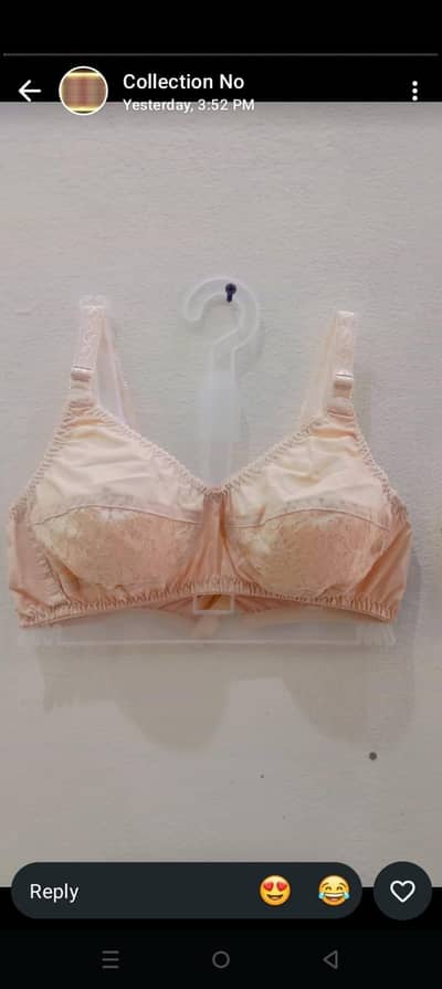 undergarments brasier