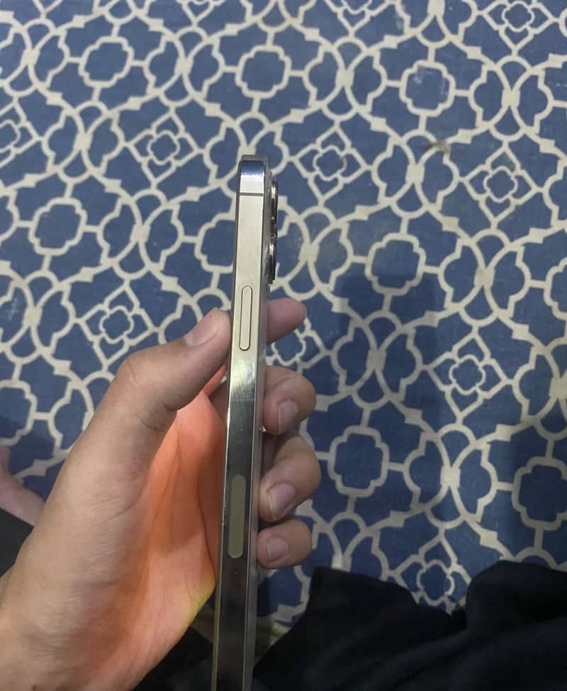 Apple iPhone 13 Pro Max 1