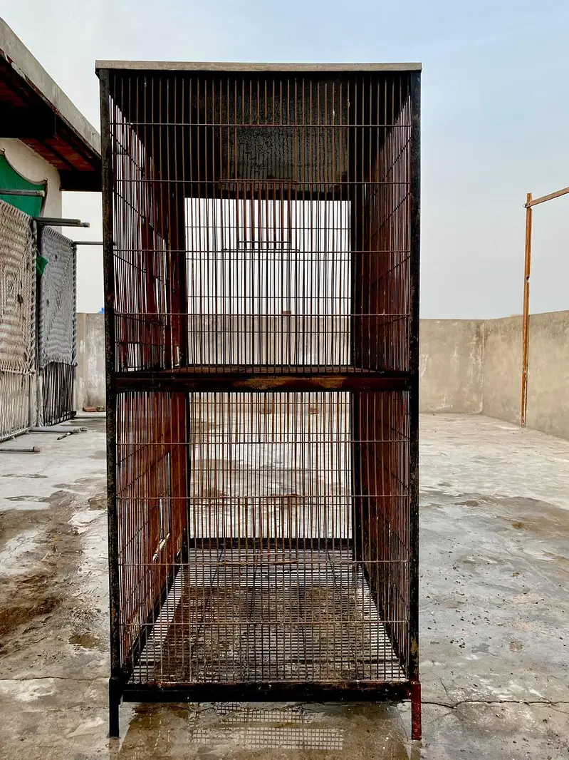 Iron cage — photo 2