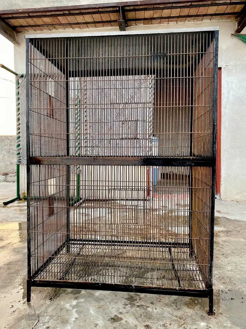Iron cage — photo 3