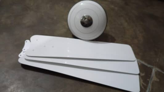 Ceiling Fan