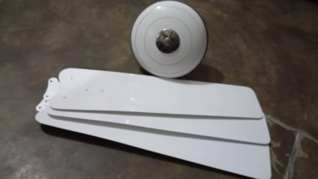 Ceiling Fan 0