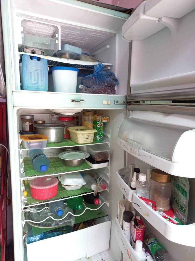 waves refrigerator 4