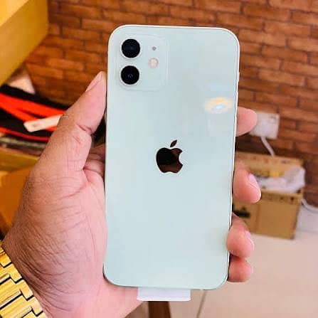 Apple iPhone 12 1