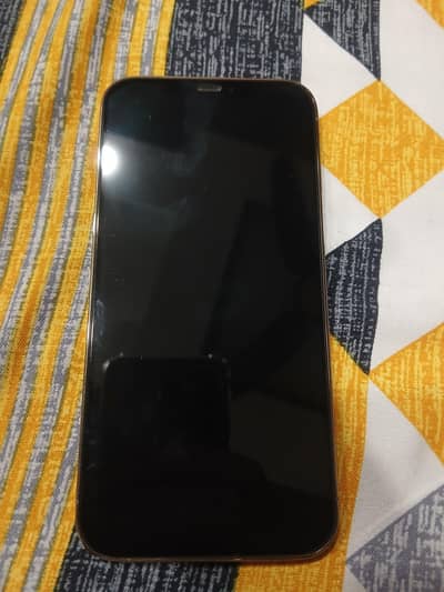 Apple iPhone 12 Pro Max