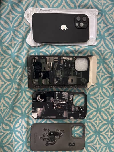 Iphone 13 pro max covers (4)