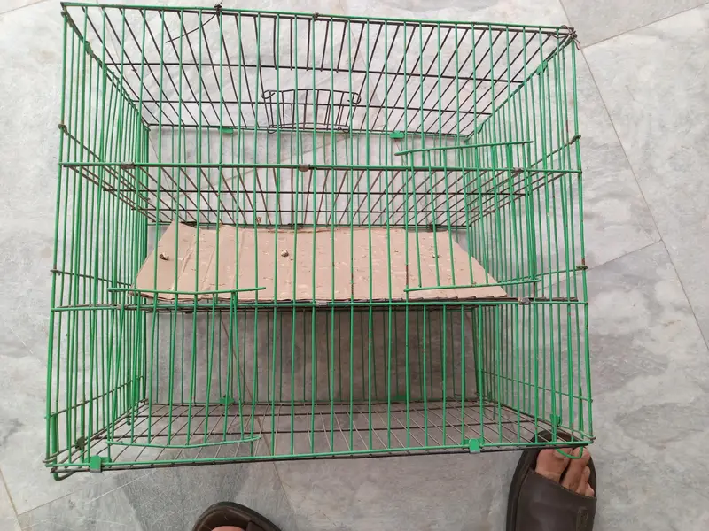 cage 8 portion , cargo 3 portion cage — photo 5