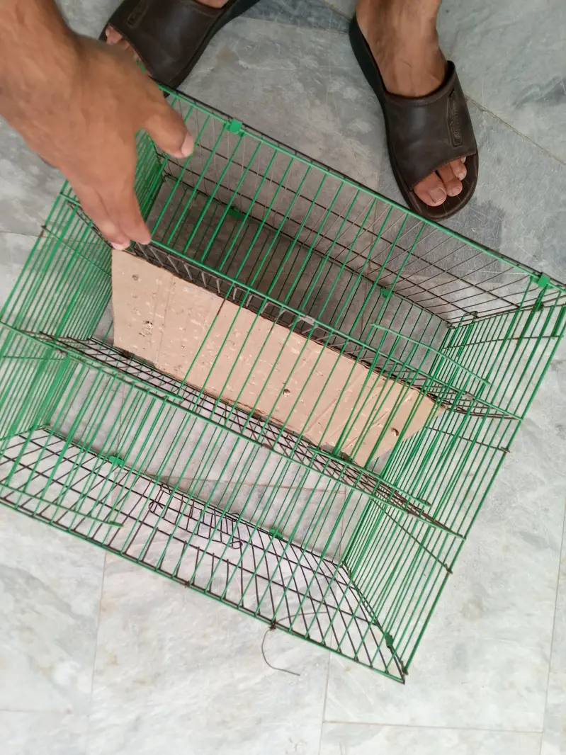 cage 8 portion , cargo 3 portion cage — photo 6