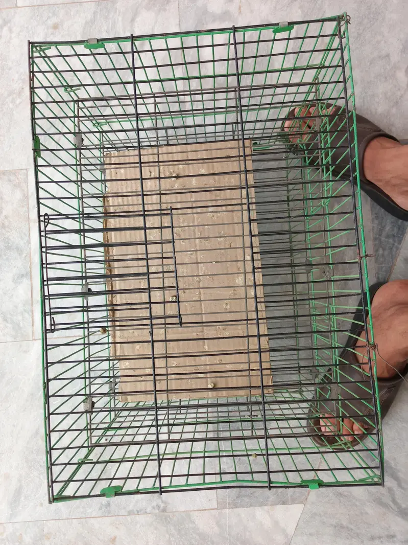 cage 8 portion , cargo 3 portion cage — photo 7