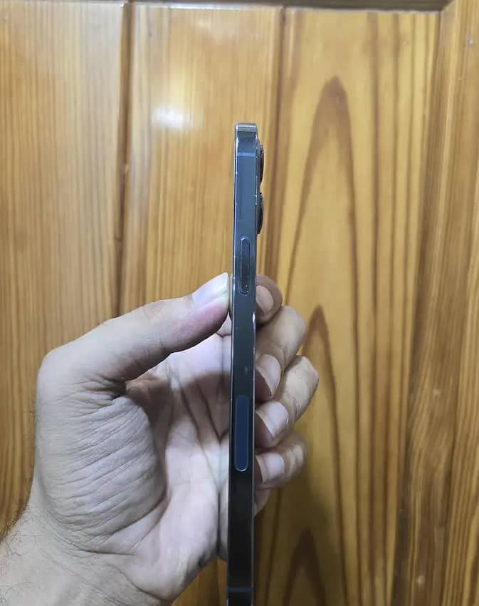 Apple iPhone 12 Pro Max 1