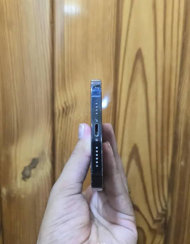 Apple iPhone 12 Pro Max 2