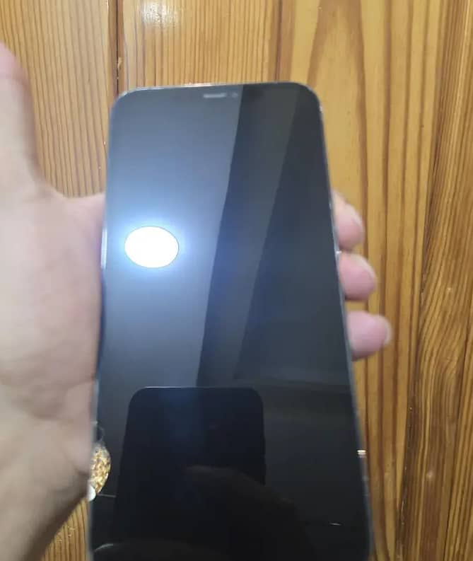 Apple iPhone 12 Pro Max 3