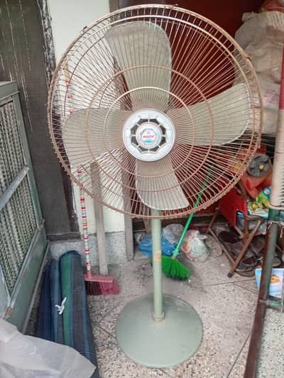 Pedestal Fan