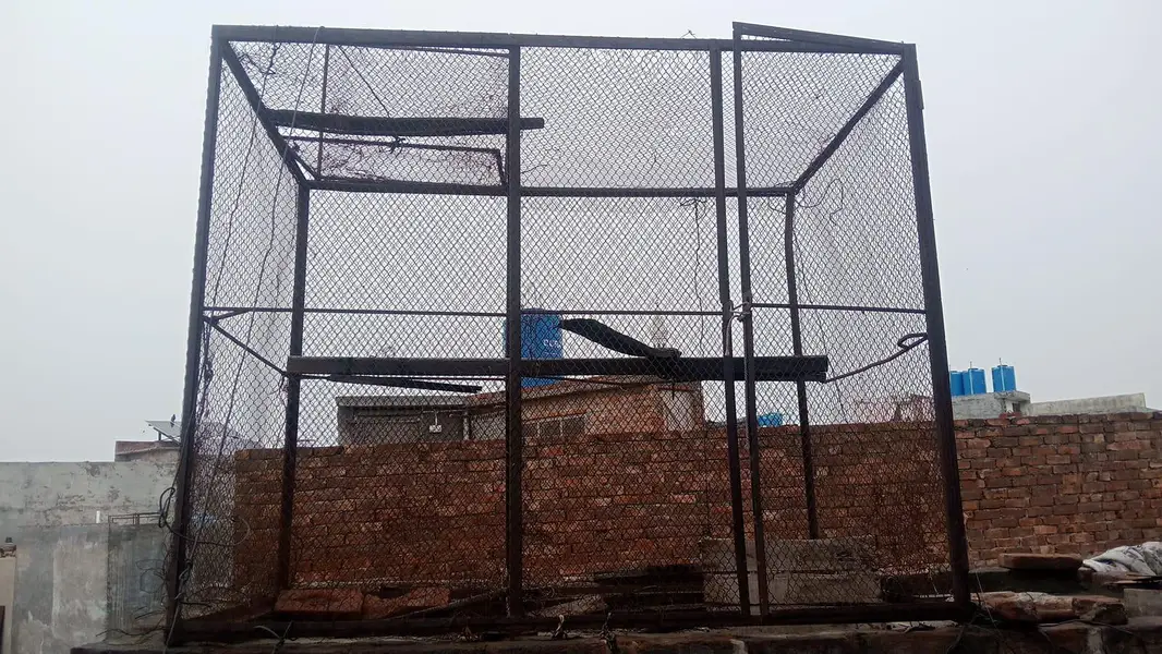 Piggon cage Hen Cage — photo 3