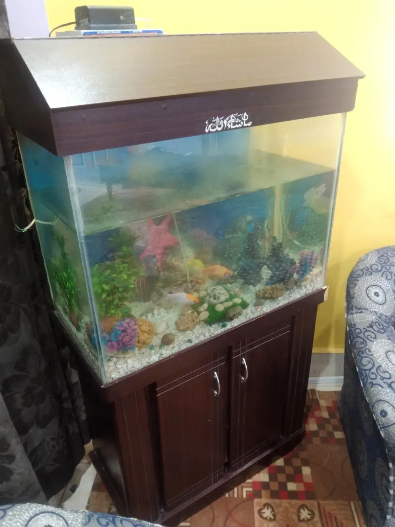 fish aquarium 2.5 fit — photo 7