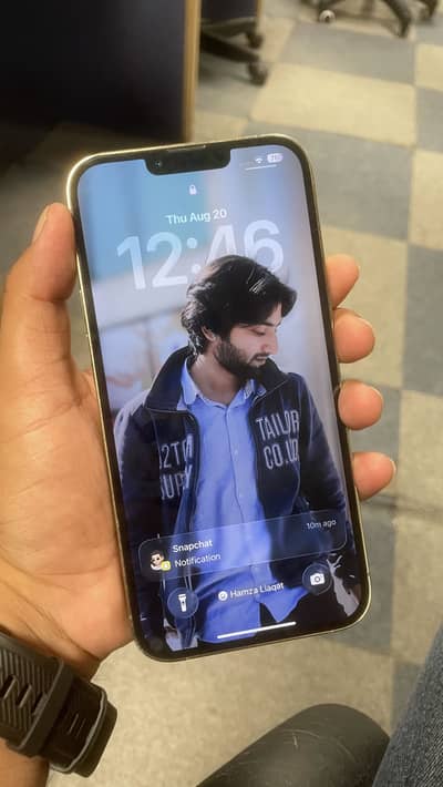 Apple iPhone 13 Pro Max