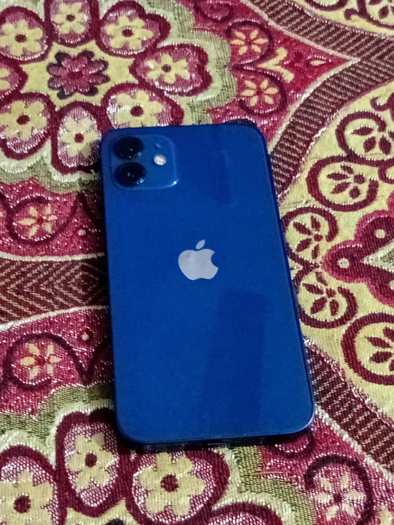 Apple iPhone 12 1