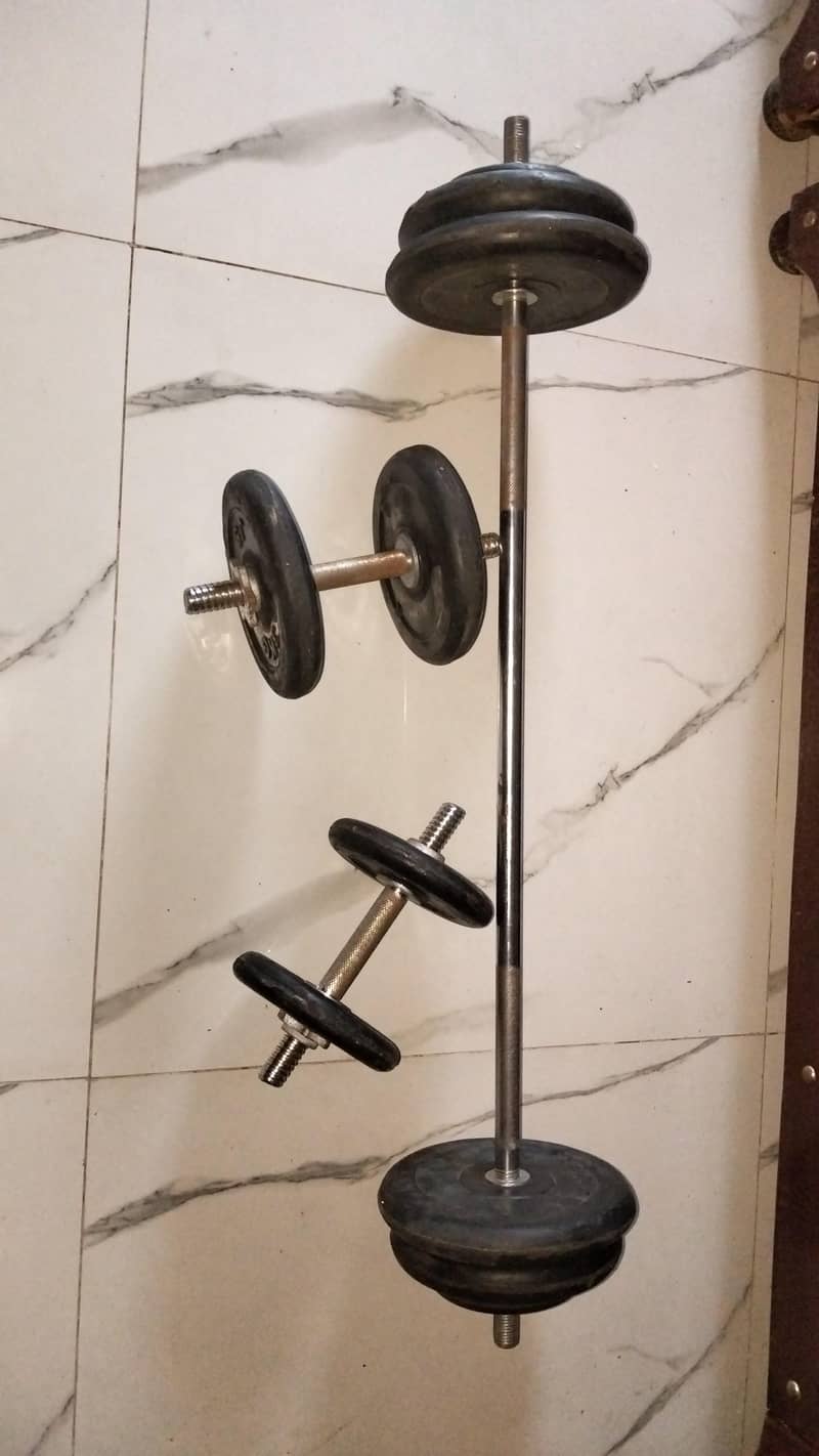Exercise Dumbles 0