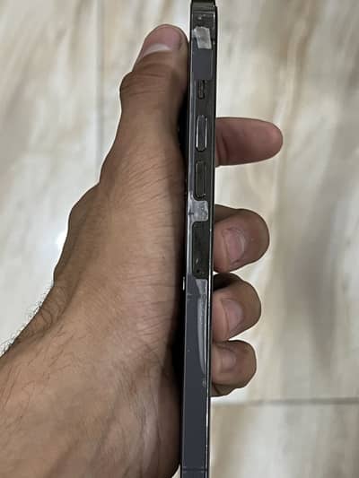 Apple iPhone 13 Pro Max fu