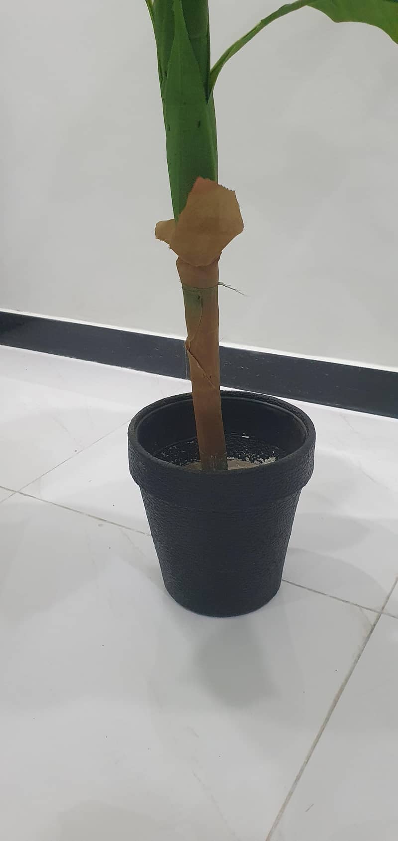 Decoration 7