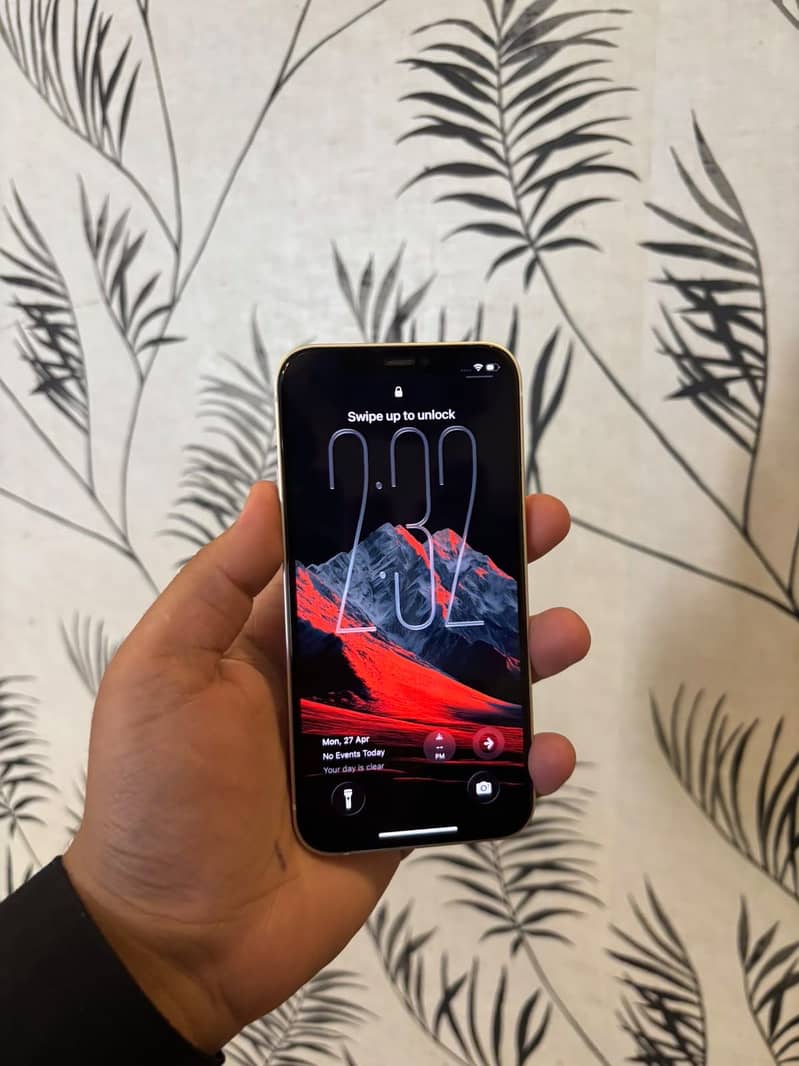 Apple iPhone 12 1